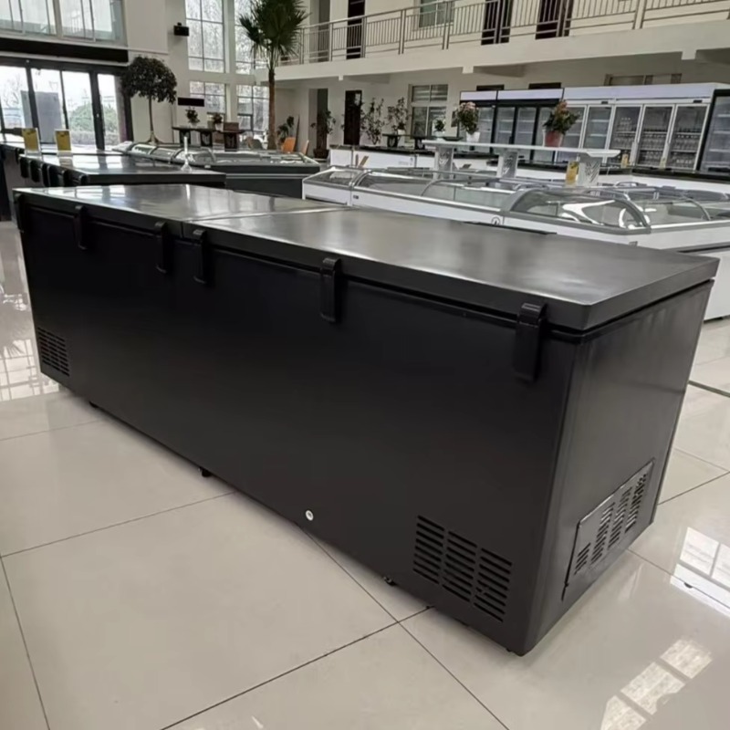 Commercial Double Door Horizon - огляд і ціна Commercial Chest Freezer